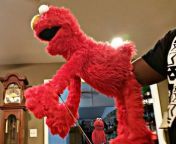 Fisting Elmo while another Elmo watches: NSFW, Vs, Watching, Elmo, Sesame Street, Fisting, Shocked, Confused, Watching from elmo magalona