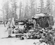 (Original Caption) Piles of corpses in the snow after a battle at Syskyjarvi in Finland, at which most of the 18th Soviet Russian division of at least 18.000 men was slain from old men fak young 12 young scoolgirl peign