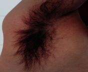 Guys! Please check out my hairy armpit and let me know... Should I post more of it?? I&#39;m 24 M from www tamil actress sex video comian randi hairy armpit and thigh fuc
