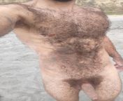 sandy nude in public hairy cock and abs. from nude in public gwen c and dominika j 31