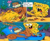 SpongeBob SquarePants characters Porn images now at https://porn4u.fun/home/spongebob-porn-gallery/ from rubika liyaquat porn gallery