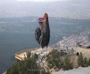 Biggest cock statue in the world. Denizli, Turkey. from selin denizli