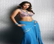Nikita Thukral Navel in Saree from tamil actress nikita thukral sexan badwp comangla desi xan srilekha mitra xxxl sex vex girl moves xxxx sex dag girl movesx fat big