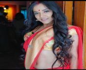 Mishti Basu navel in red saree and golden blouse from red saree blouse sex swap com