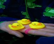 Little ducks ? from 10 thn little vaginaos page