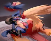 ANALying Image: Blaziken is the victor [I] [M] (DS-H0RN) from tcf ds