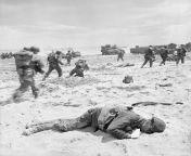 A dead US soldier lies face down in the sand as other troops and tanks move off of Utah Beach, Normandy, France, 6 June 1944. from jamsro sand xxxgarl move