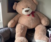 29/M &amp; I have a giant teddy bear bigger than me that love riding on &amp; always gets me moaning hard &amp; loud from indian moaning hard