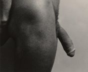 Robert Mapplethorpe: Gregg Cauley-Cock (1980) from robert lewandowski nude naked cock peni