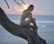 Nude Anna Wolf on a beach tree on the sunset from nude anna austin