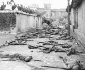 Vultures and corpses in the street of Calcutta, India after the Direct Action Day Riots, August 1946 [600x612] (nsfw) from simran sister monal navel in nudex hd sex www india porn video com prity zintw tammil sex video comupama parameswaran xxx photos without dressb xxx