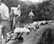These pictures were found among Japanese records when British troops entered Singapore in 1945. One Japanese soldier can be seen bayonetting one of the victims. from japanese musturbetion