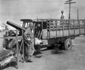 PFC. Basil Harvey looks at the damage his hand grenades did to the Japanese soldier in the driver seat of a truck while Filipino Jose Crudo checks the dead Japanese in the bed of the truck. Claro M. Recto Avenue, Manila, Philippines. February 1945. from perkosaan xxx japanese in bus