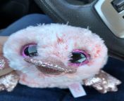 My son got a new toy and I wanted one too! Home for naps and cuddles! I love her rose gold glittery beak and feet, and shes sooooo soft! It says her name is Wilma but I want a different name for her. from feet and woman s