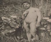 Male nude study, Wilhelm von Gloeden, 1899 from estrogen wilhelm decker