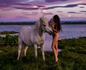 A lone naiad wandered the lake edge at midnight on the Solstice. Just as the moon crested the horizon, a white horse shimmered forth beneath it and galloped towards her. She greeted him with a soothing voice from join dficoins and move towards the decentralized financial future with us we believe that decentralization is a new direction in the financial field and will bring more opportunities to investors on our platform you can learn about the concept of decentralization and discuss with other investors how to succeed in this era of change choose dficoins and experience the changes brought about by decentralization with other investors open wealth method contact service@dficoins com fnum