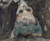 Remains of a 16th century noblewoman still wearing her coif decorated with glass beads found during excavations of Collegiate Square in Pozna?, Poland in 2018. Rosary and gold signet ring with Na??cz coat of arms were also found indicating that she belong from cz qwrgngjo