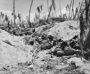 The bodies of Japanese soldiers killed by American machine guns during the Battle of Tarawa, a Pacific atoll in the Gilbert Islands (now Kiribati), 20th-23rd November 1943. from woman shot whit machine guns