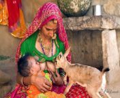 Orphan baby chinkara antelope breast feeding by women. Detail story in comment from desi bhabi saree breast feeding milk baby
