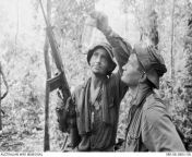 Vietnam War. September 1968. A blood plasma bottle left by fleeing VC in a bunker complex is examined by Sergeant Dave Pedel (left), and Lance Corporal Rod Bourke. Both are soldiers of B Company, 4RAR/NZ (ANZAC), which located the complex during Operation from work at apprment complex