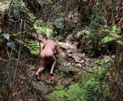 (55) In the jungle, the mighty jungle. from nude girl in amazon jungle