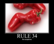 Ladies and Gentlemen, we&#39;re back in buisnes (Rule 34) [Sexy Jalapeno] from rule34 rule 34