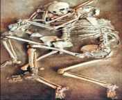 Skeletons found in a Roman house in Kourion, Cyprus that belonged to a family struck by an earthquake in 365 CE. The mother cradles the infant in her arms as the father tries to protect them from falling debris. from mother protect stepson from bullies