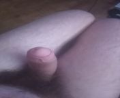this is for the harsher doms. is this a penis or is it a clitty that deserves to be locked up it is hard in this photo from hard tite big lamba mota penis photo না
