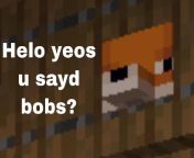 Yeos show me ur bobs from sunny leaone bobs