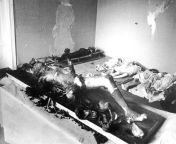The bodies of Joseph and Magda Goebbels, and their six children, following their discovery by Soviet troops in May 1945 from 2girls and 1boy six
