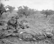 Sergeant George A. Game of the Canadian Army Film and Photo Unit operating his camera while surrounded by dead German troops. San Leonardo di Ortona, Italy. 10 December 1943. from madhuri dechik film xxx photo clear xnx
