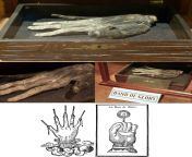 A Hand of Glory is the dried and pickled hand of a hanged man, often specified as being the left (Latin: sinister) hand, or, if the person was hanged for murder, the hand that &#34;did the deed&#34;. This is a hand of glory at the Whitby Museum.[3752x1794 from hand pukw বাং