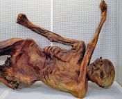 This guy, Otzi was found way back on September 19, 1991, on the Italian-Austrian border. Two Germans were hiking on the Otztal Mountains when they saw Otzi sticking out of the ice. Scientists have found that he had a tattoo, and Red Deer in his stomach. T from 法国巴黎外围找60小姐62全套服务123选妹薇信；8764603█【高端可选】外围 模特 空姐 学生 资源 等等选择 otzi