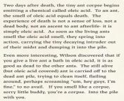 I thought this was an interesting point on death in the animal kingdom. Acid covered ants also often took themselves to the corpse pile. from rapist beaten death