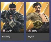 Which echo elite do you like more? Also has anybody noticed on the new elite skin banner the absolute chode echo has lmao from dryer echo