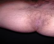 My gay ass hole. (64) from desi gay ass hole fuckn hijra nude