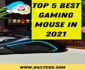 Are you loocking a good for gaming mouse ? Then you are in the right place. You will find here the top 5 gaming mouse in 2021. https://dailycod.com/top-5-best-gaming-mouse-in-2021/ from siberian mouse Маша Бабко