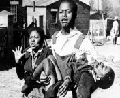 On this day in 1976, the Soweto Uprising began in South Africa after the government mandated that Afrikaans be taught in school, leading to demonstrations by more than 20,000 black schoolchildren, hundreds of whom were killed by police. from porn in south africa