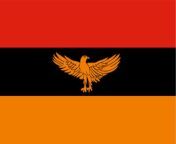 New Zambia flag from susan mwaka zambia