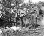 Private John Gavenas, of Shenandoah, PA, (center) with two Chinese-American members of General Merrill&#39;s infantrymen, look at the body of slain Japanese. These men, with other members of ground forces led by Brigadier General Frank Merrill are the fir from general nasiri