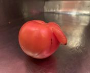 This tomato. from လီးကြီးအောင်လုပ်နည်းetite tomato nude b