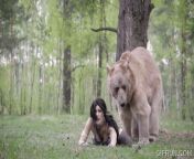 After I saw the recent bear vs man thing I knew what I had to do. I invoked my right to bear arms and swapped bodies with a bear. Now in my new harmless body I just needed to approach a woman in the woods and I will be eating that ass all day long. from tall woman vs man