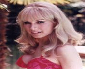 Barbara Eden. Who dreamed of Jeannie? from barbara eden i dream of jeannie nude sex scene uncovered 2 4