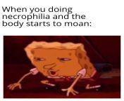 Necrophilia from necrophilia