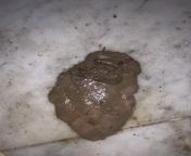 Hey yall hoping I could get some help with this. I woke up this morning and found this in my bathroom. I have 2 cats 1 4 month old and 1 6 month old. Is this throw up? Poo? What c puke be the cause? from 16 old and