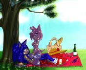 Sonic and Amy having picnic fun from tamil having picnic fun mp4