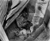 The fly covered corpses of a Filipino mother and child lie among the ruins of their shelter after it was hit by artillery fire during the Battle of Manila, 1945. Upwards of 200,000 civilians would be killed during the month long battle between Japanese an from filipino mother