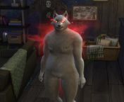 when your sim transforms for the first time and you use ww so she has a werewussy ? from fast time xxgladesh pornima sex ww com