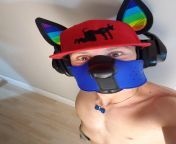 New k9 for public show !!! Woof !!! Thx to mistrbear in Montral in the village for fast conception !!!! Happy pup from village girl fast taim