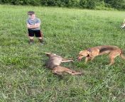 Happy Father’s Day! My father just sent me this picture of a Coyote he killed. There was a video attached as well. I can’t with this shit. from father and doughter sexy video 3gpাংলা দেশ xxxhdc
